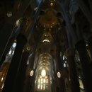 2015년 11월8일 스페인 바르셀로나 사그라다 파밀리아 (성 가족 성당) 2 이미지