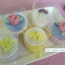 콩콩설기 이미지