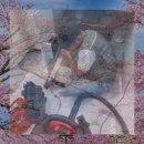 울산한약품 이미지