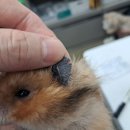 서울개공원 FACTORY 이미지