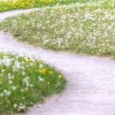 정호승의 시인의  내 인생의 가장 소중한 가치는 무엇인가 이미지