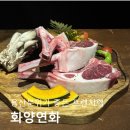 화양연화 | [내돈내산] 용산 화양연화 후기｜고기 맛·분위기 다 잡은 용산 맛집
