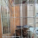 전주21세기병원 이미지