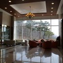 신안골프 이미지