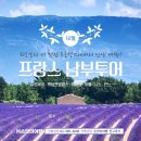 [2023년 북유럽여행후기] 스톡홀름에서 노르웨이 오슬로 이동 (오슬로의 명물 바다 사우나 풍경, 오슬로...