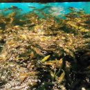 놀러와실내낚시카페 이미지