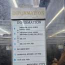 보라미화원 | 강남고속터미널 꽃시장 강남꽃도매상가 꽃바구니 구입 후기 주차정보