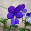 자연의 순환 이미지