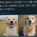 오토케이쥐