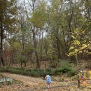 둘리쌍문공원 유아숲체험장 이미지