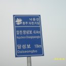 강창교~성주대교 이미지