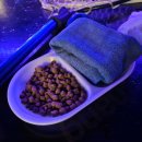 해적왕실내낚시카페 | 수원 인계동 [ 해적왕 실내 낚시 카페 ] 실내 데이트