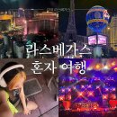 라스베가스 3박 4일 혼자 여행 일정 공유 (feat.에이브릴라빈)