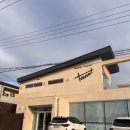 구피애견 | [롸갱's 후기] 수초어항·물고기 구경과 애견동반·운동장까지 갖춘 장성 카페 태미 방문후기