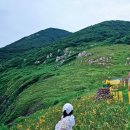 홍도밥상민박 이미지