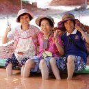 삼삼오오농장 이미지