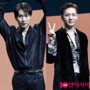 도마비투비 이미지