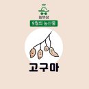 농부심 - 전주시 완산구 서원로 145 | 농부심