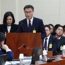 한국피자헛 이미지