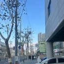 원대오거리 북구청방향 | 대구3대막창 대구북구청맛집 *찬앤찬막창*오픈런 후기