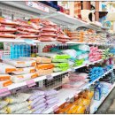 청춘애견 계룡점 | [공지] 계룡 애견샵 『청춘애견』 강아지분양, 미용, 호텔을 소개합니다.