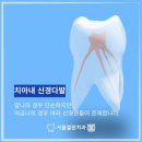 서울우수치과의원 이미지