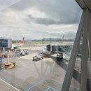 잘생긴 돼지소 | 🇯🇵 여름 삿포로