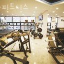 아라피트니스