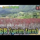 예림팜 Daum카페