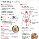 그래픽바이러스 이미지