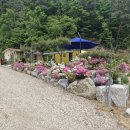 [취소] 7월25일(토)~26일(일) 오전10시 평창 산장에서 작은음악회 이미지