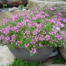 아름다운유치원 이미지