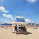 민락모나코공인중개사사무소 | 광안리 푸바오♡ 바오패밀리 생일파티 포토존 위치[부산여행]