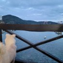 다대336장작구이 이미지