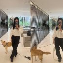 엄정화 카카오 검색결과