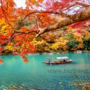 비즈트랜스 외국어번역 행정사사무소 이미지