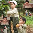 정우농장 2 이미지