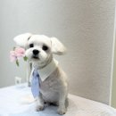 머뭉공간 이미지