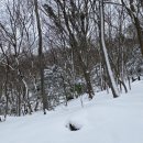 불갑산흑염소 이미지