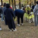 푸른숲유치원 이미지