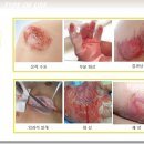 JH인터내셔널