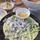 생생종합어시장 | 고척 횟집 속초종합어시장 고척점 재방문 후기｜산낙지, 물회 먹고 온 솔직후기ㅣ엄마와 데이트