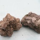 돌꽃향기 날리며 이미지