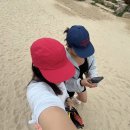 서프앤윤돌섬 | [거제/윤돌섬] 거제 여행 • 구조라해수욕장 • 서프앤윤돌섬 • 스노클링 명소