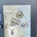 올리스 24 이미지