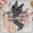 신영세탁 | 신영와코루 쉐이퍼, 나에게 딱 맞는 보정속옷 찾기