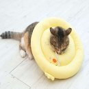 베프컴퍼니 이미지