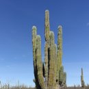 바하캘리포니아 이미지