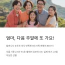 포시즌골프랜드 | "엄마, 다음 주말에 또 가요!" 할머니도 손주도 모두 만족한 3대 가족 여행지 BEST 5(서울경기권)