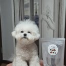 하비몽몽 | 기호성좋은 수제간식, 캥거루갈비 (이천애견수제간식 하비몽몽)